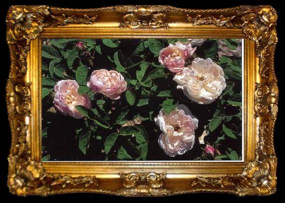 framed  unknow artist Still life floral, all kinds of reality flowers oil painting  173, ta009-2